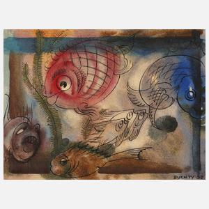 Buchty, Fische im Aquarium