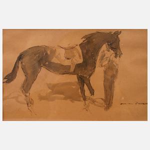 Prof. Otto Dill, Tierstudie