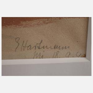 Erich Hartmann, Sommer in den Bergen