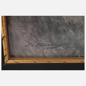 Johann Hering, In den Alpen