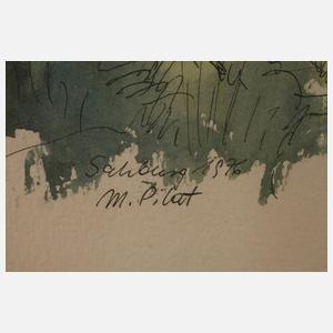 Marie Pilat, Ansicht Salzburger Dom