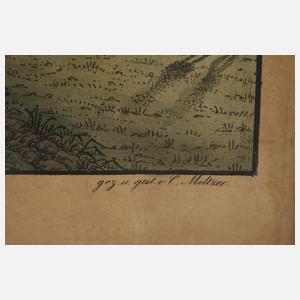 C. Meltzer, Ansicht von Treuen