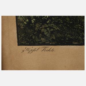 C. Meltzer, Ansicht von Treuen