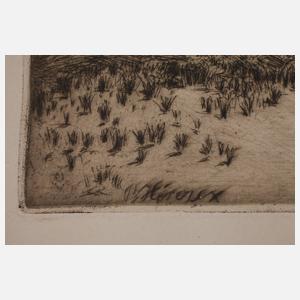 Prof. Bruno Héroux, "Dünenlandschaft"