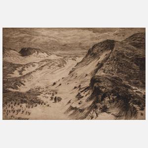 Prof. Bruno Héroux, "Dünenlandschaft"