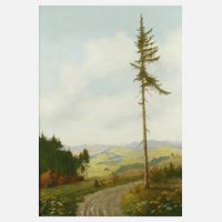 Minni Herzing, "Blick über blühende Wiesen und Wälder"111