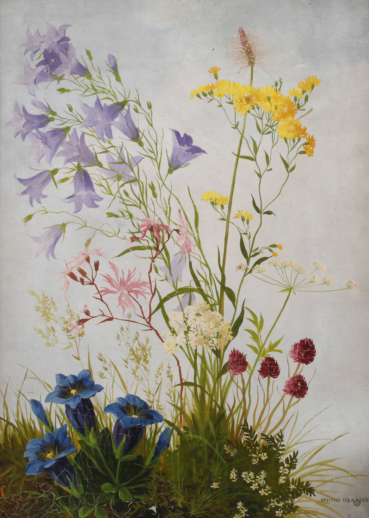 Minni Herzing, "Rasenstück mit verschiedenen Wildblumen"