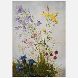 Minni Herzing, "Rasenstück mit verschiedenen Wildblumen"