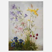 Minni Herzing, "Rasenstück mit verschiedenen Wildblumen"111