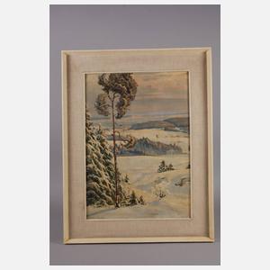 Richard Sachs, Winter im Vogtland