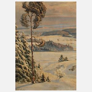 Richard Sachs, Winter im Vogtland