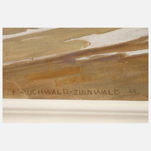 Erich Buchwald-Zinnwald, Vorfrühling im Erzgebirge