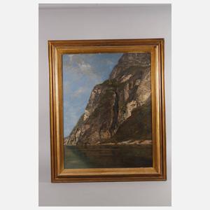 Prof. Adolf Gustav Schweitzer, Am Nærøyfjord