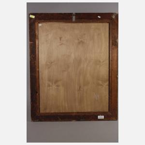 Prof. Adolf Gustav Schweitzer, Am Nærøyfjord