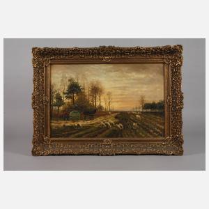 Schafe auf der Weide