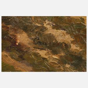 Schafe auf der Weide