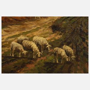 Schafe auf der Weide