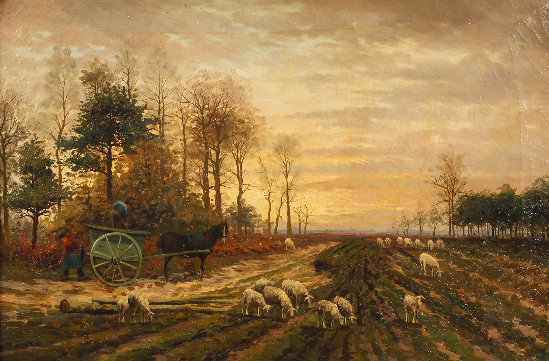 Schafe auf der Weide