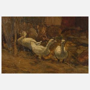 Bäuerliche Hofansicht