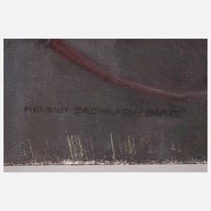 Helmut Bachach-Baree, Reitpferd "Sascha"