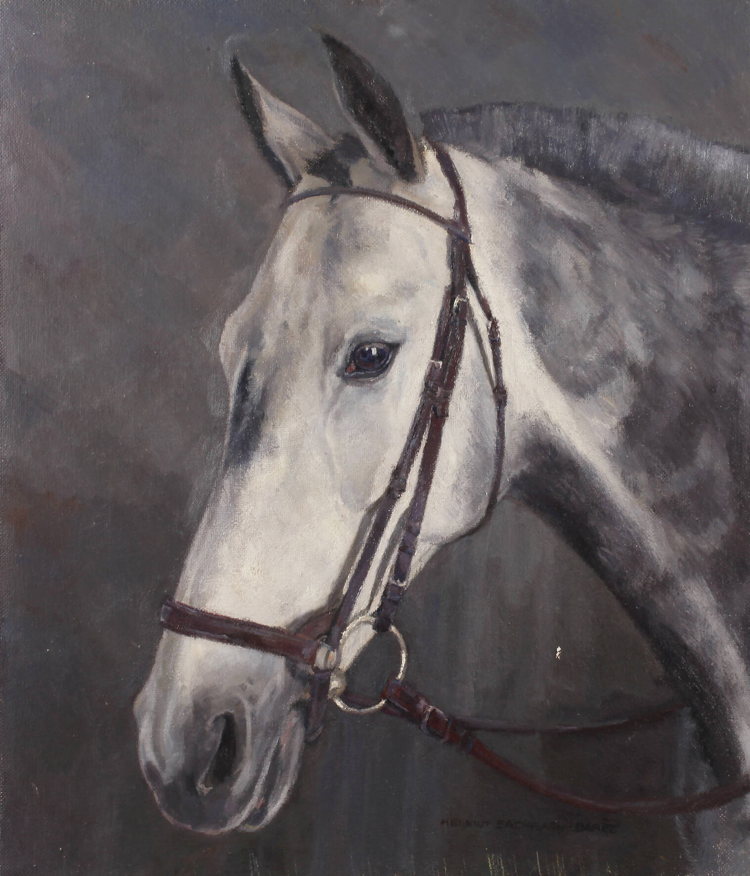 Helmut Bachach-Baree, Reitpferd "Sascha"