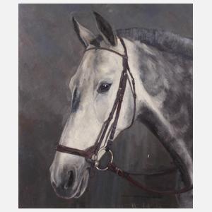 Helmut Bachach-Baree, Reitpferd "Sascha"