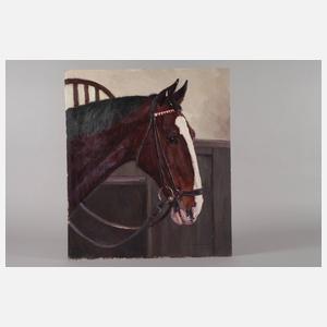 Helmut Bachach-Baree, Reitpferd "Flinga"