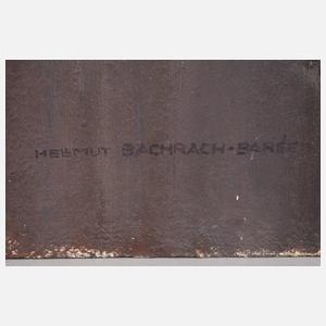 Helmut Bachach-Baree, Reitpferd "Flinga"