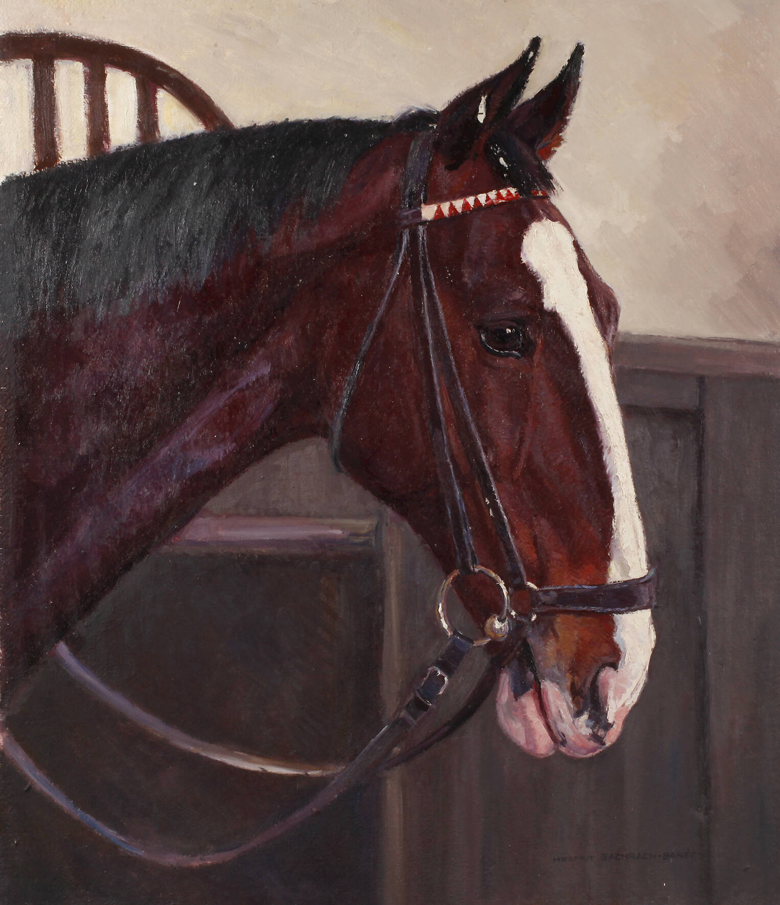 Helmut Bachach-Baree, Reitpferd "Flinga"