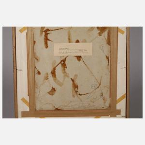 Ludwig Bader, Schimpanse