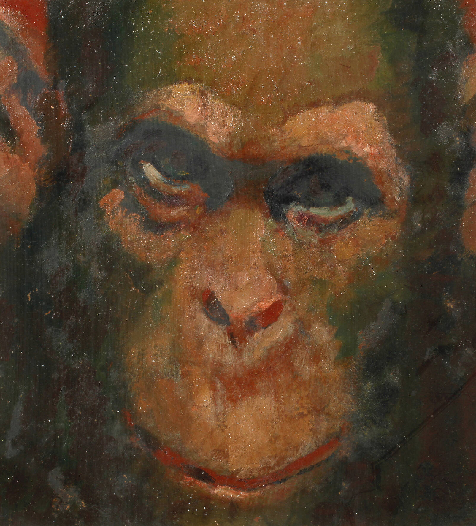 Ludwig Bader, Schimpanse