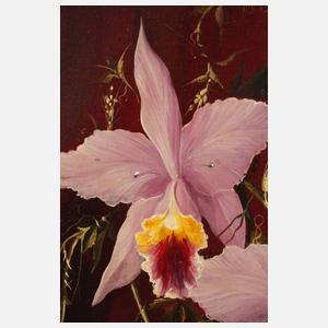 Curt Brückner, Orchideenstillleben
