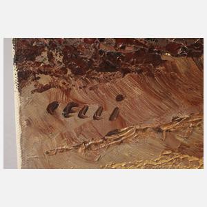 Celli, Heidelandschaft