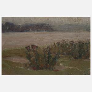 Egon von Kameke, "Überschwemmung an der Oder"