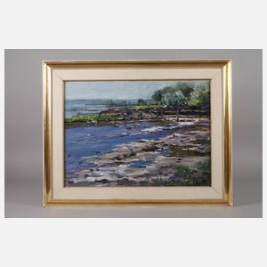 Alexander Koester, Enten am Seeufer