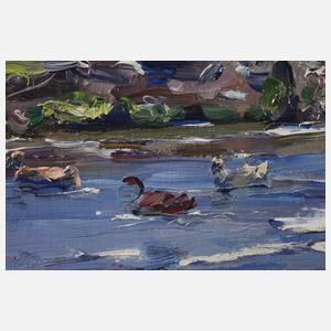 Alexander Koester, Enten am Seeufer