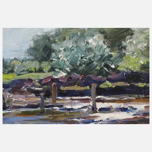 Alexander Koester, Enten am Seeufer