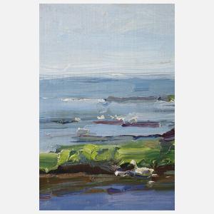 Alexander Koester, Enten am Seeufer