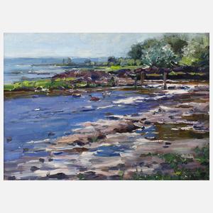 Alexander Koester, Enten am Seeufer