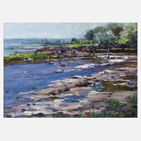 Alexander Koester, Enten am Seeufer111