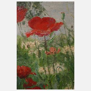 Ida Kupelwieser, attr., "Wiese mit Mohn"