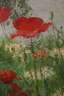Ida Kupelwieser, attr., "Wiese mit Mohn"