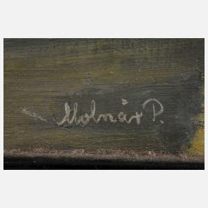 P. Molnár, Wintertag