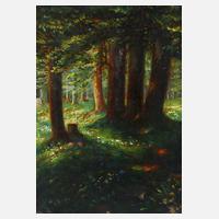 Prof. Heinrich Otto, Waldinneres111