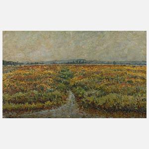 Walter Reinke, Moorlandschaft