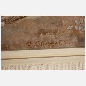 Prof. Edmund Steppes, Eidechse