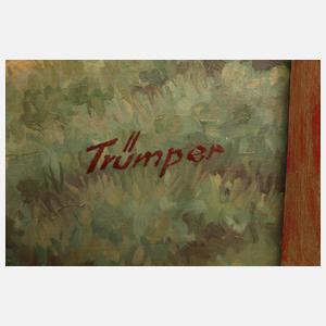 Prof. August Trümper, Landschaft mit Windmühlen