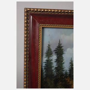 P. Waigner, Enten im Anflug