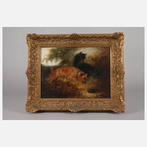 Hundebild "Der Schreck"