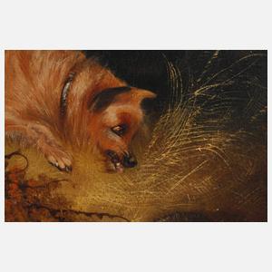 Hundebild "Der Schreck"